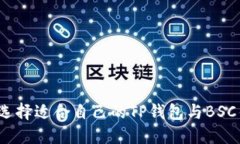 如何选择适合自己的TP钱包与BSC钱包？