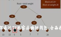 如何通过TP观察区块链钱包：全面指南