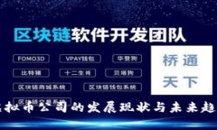 杭州虚拟币公司的发展现状与未来趋势分析