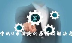 TP钱包中的U币消失的原因及解决方法解析