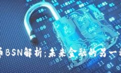虚拟币BSN解析：未来金融的另一种选择