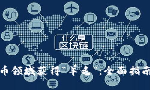 如何在虚拟币领域获得“羊毛”：全面指南与实战攻略