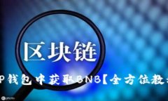如何在TP钱包中获取BNB？全方位教程与技巧