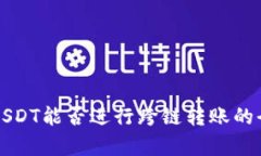 TP钱包USDT能否进行跨链转账的全面解析