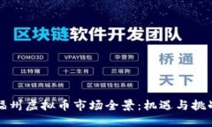 福州虚拟币市场全景：机遇与挑战