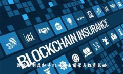 深度解析虚拟币BLK：未来前景与投资策略