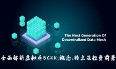 全面解析虚拟币BCKK：概念、特点及投资前景