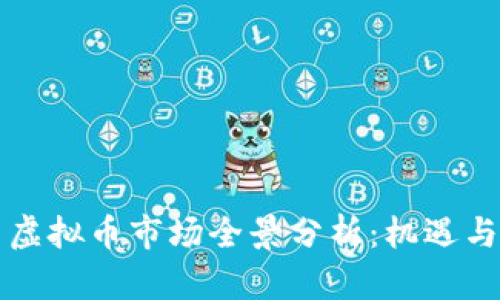 美国虚拟币市场全景分析：机遇与挑战