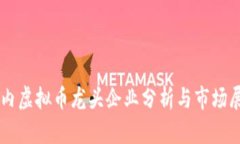 国内虚拟币龙头企业分析与市场展望