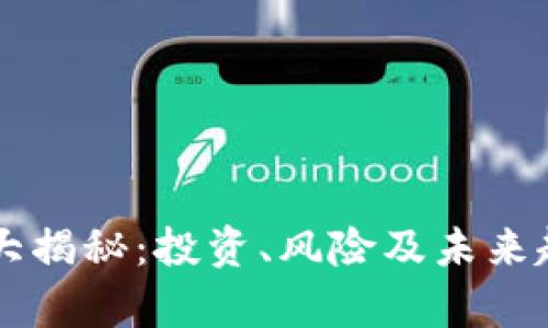 虚拟币大揭秘：投资、风险及未来趋势分析
