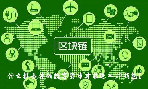 什么样条件的数字货币才能进入TP钱包？