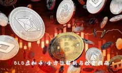 BLB虚拟币：全方位解析与