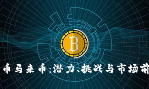 虚拟货币马来币：潜力、挑战与市场前景分析