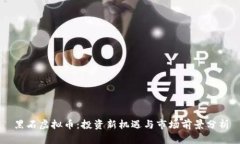 黑石虚拟币：投资新机遇
