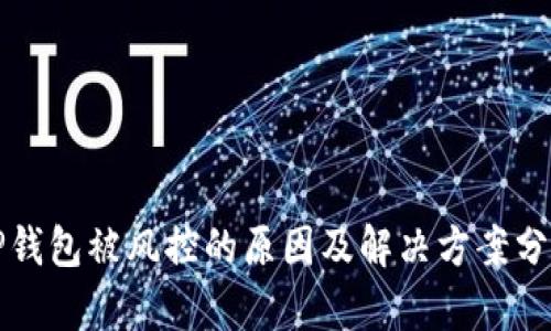 TP钱包被风控的原因及解决方案分析