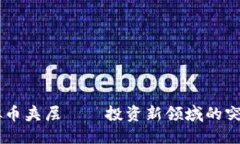 虚拟币夹层——投资新领