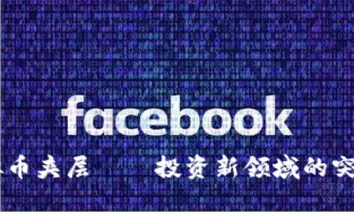 虚拟币夹层——投资新领域的突破口