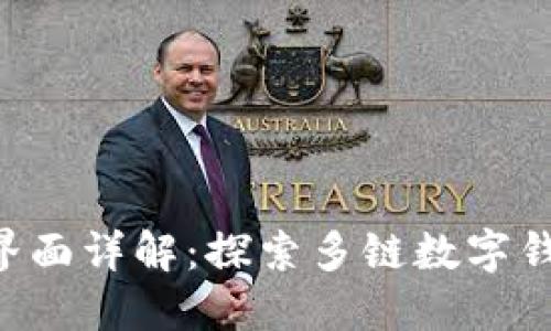 TokenPocket界面详解：探索多链数字钱包的用户体验