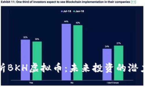 深度解析BKH虚拟币：未来投资的潜力与风险