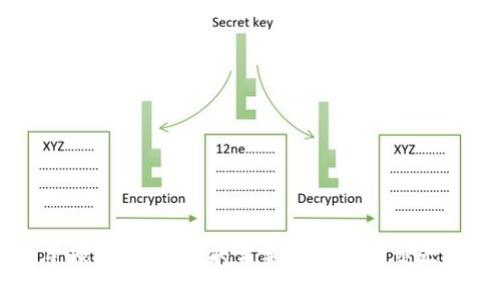 星球币：虚拟币的未来与现实的交汇点