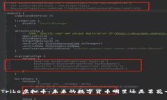 揭秘Tribe虚拟币：未来的数