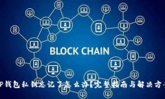 TP钱包私钥忘记了怎么办？