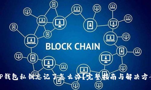 TP钱包私钥忘记了怎么办？完整指南与解决方案