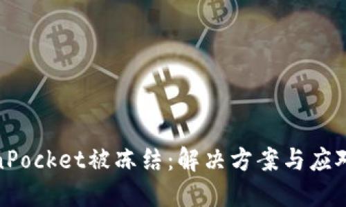 TokenPocket被冻结：解决方案与应对措施