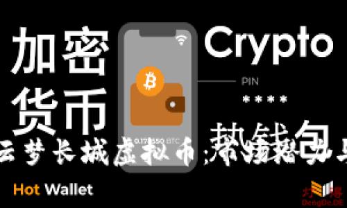 深度解析云梦长城虚拟币：市场潜力与投资前景