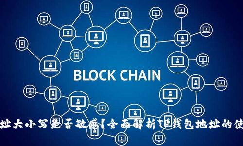 TP钱包地址大小写是否敏感？全面解析TP钱包地址的使用与管理