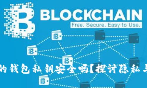 TP钱包生成的钱包私钥安全吗？探讨隐私与安全的未来