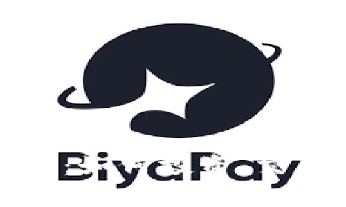 双子虚拟币解析：如何投资、交易及其未来趋势